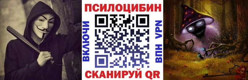 Купить закладки  Куса  Псилоцибиновые грибы ЛСД 